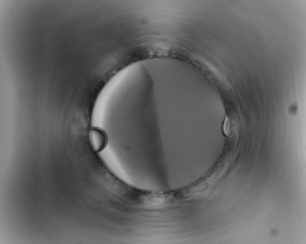 X0000102410661200808152006