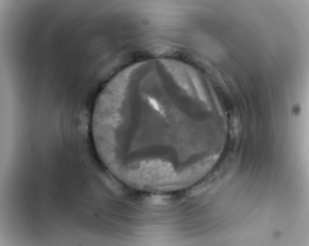 X0000102410664200808152006