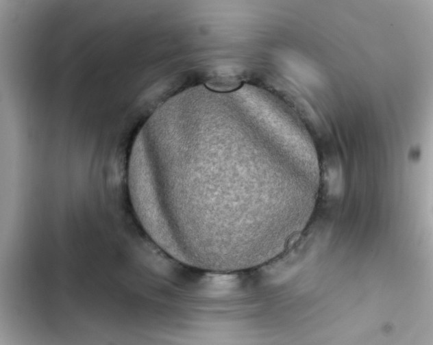 X0000102410665200808152006