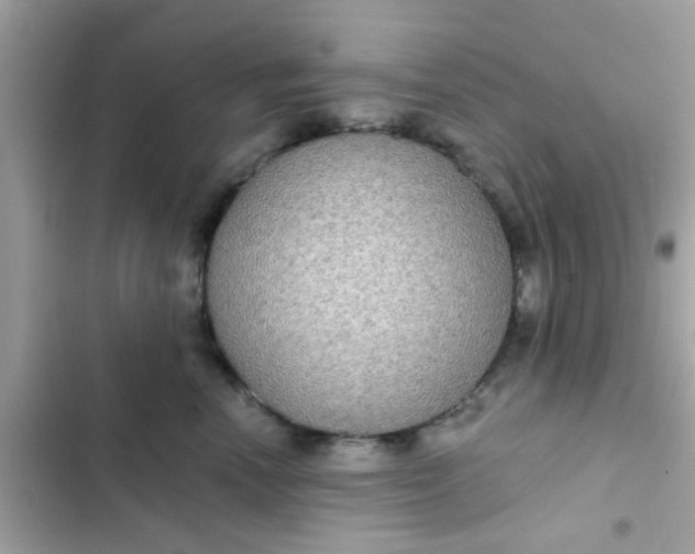 X0000102410666200808152006