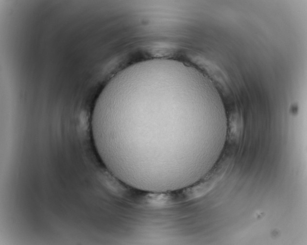 X0000102410667200808152006