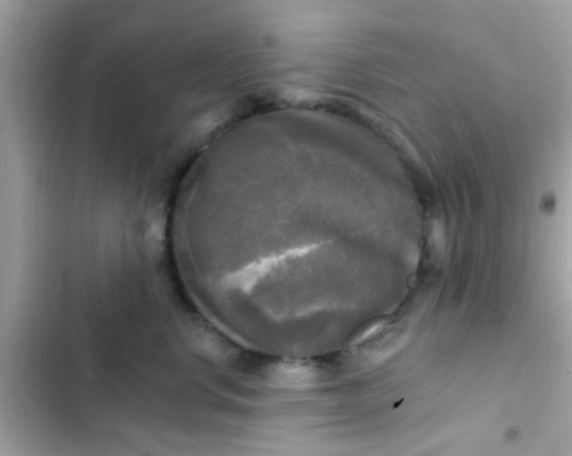 X0000102410668200808152006