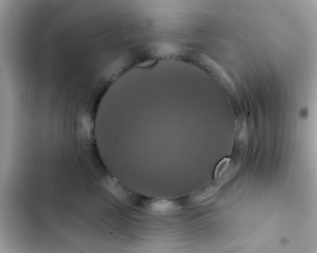 X0000102410669200808152006