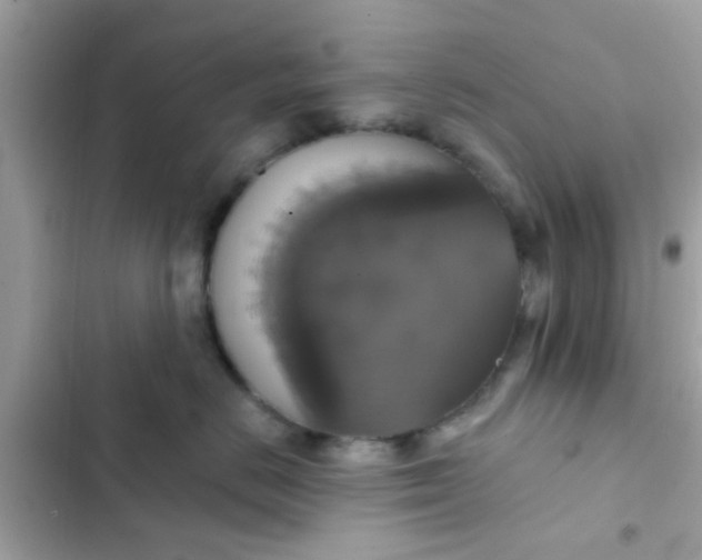 X0000102410670200808152006