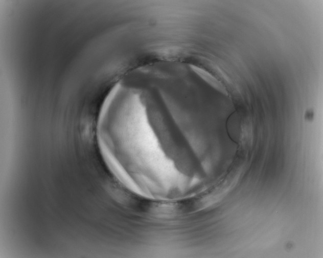 X0000102410671200808152006