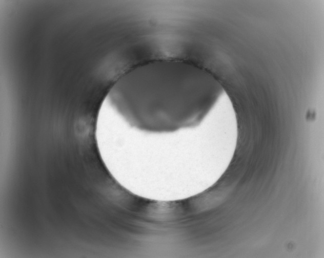 X0000102410672200808152006