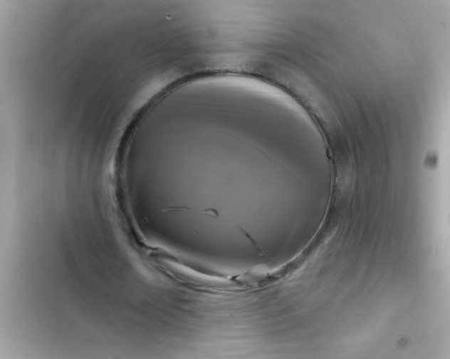 X0000102410674200808152006