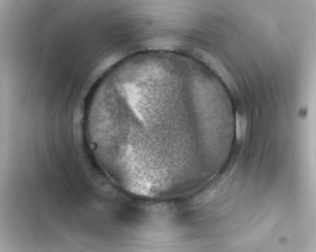 X0000102410675200808152006