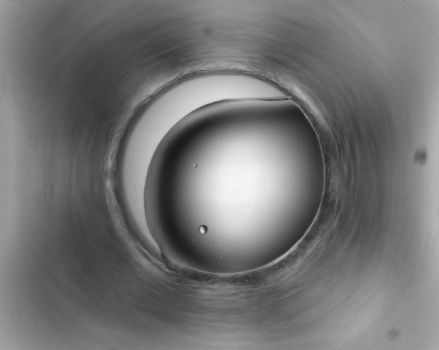 X0000102410677200808152006