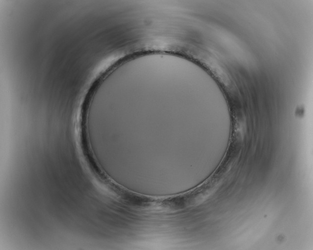 X0000102410678200808152006