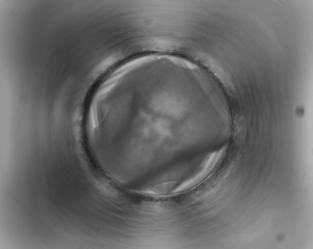 X0000102410679200808152006