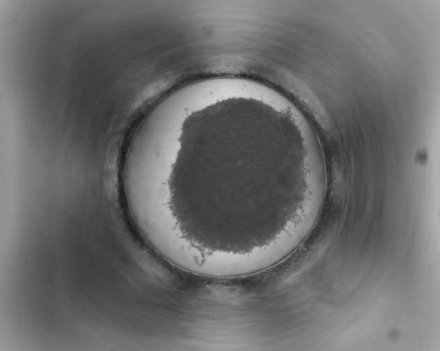 X0000102410681200808152006