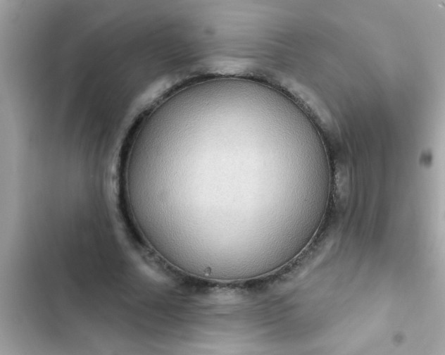 X0000102410682200808152006