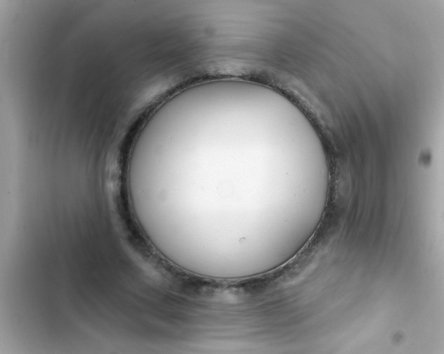 X0000102410683200808152006