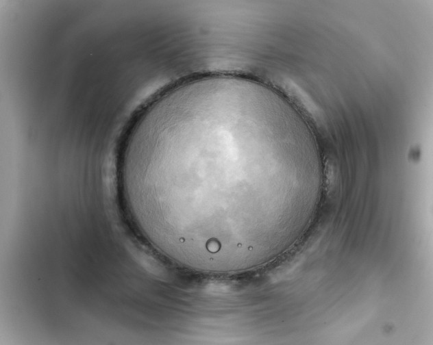 X0000102410684200808152006