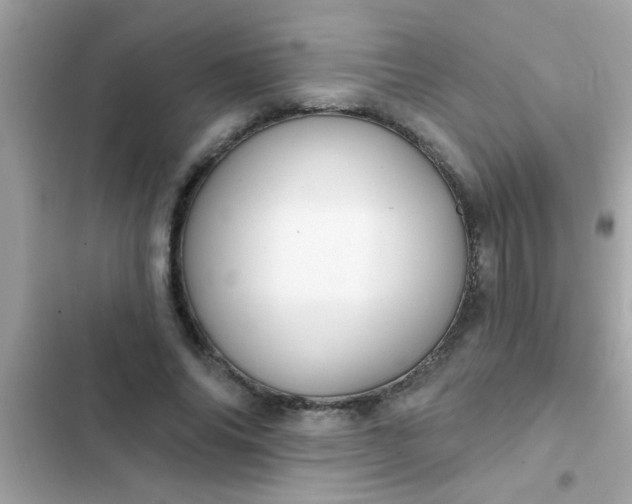 X0000102410686200808152006