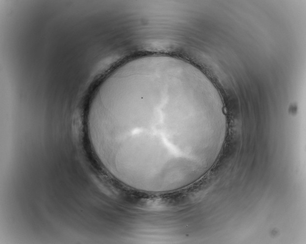 X0000102410688200808152006