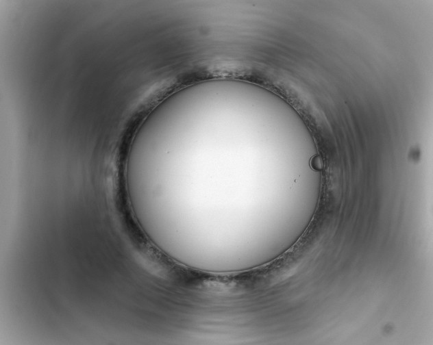 X0000102410690200808152006