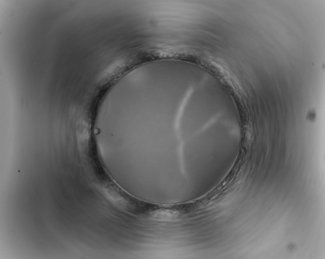 X0000102410691200808152005