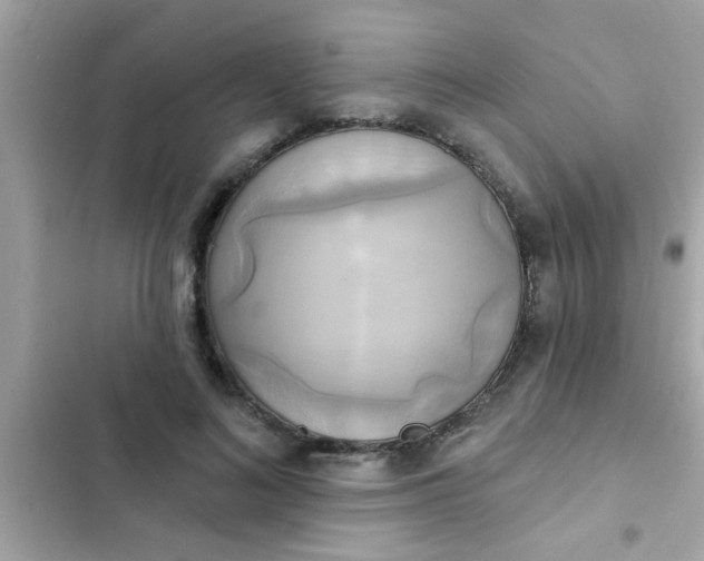 X0000102410692200808152005