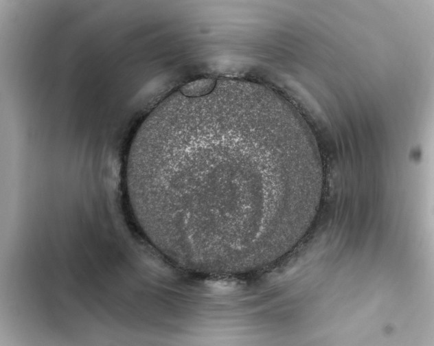 X0000102410693200808152005