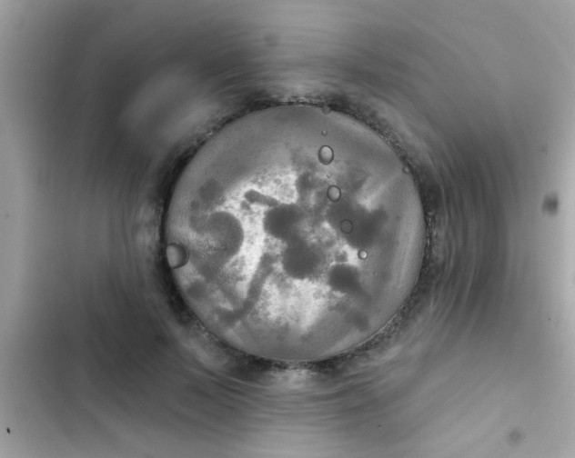 X0000102410695200808152005