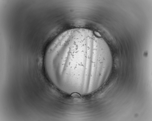 X0000102410697200808152005