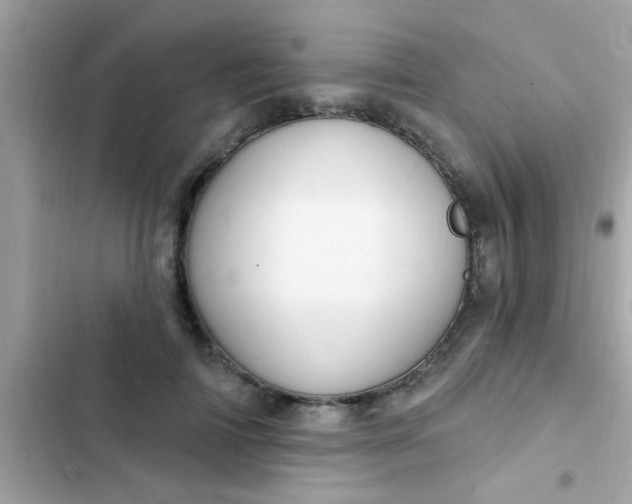 X0000102410698200808152005