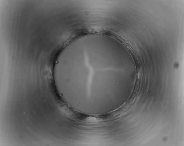 X0000102410699200808152005