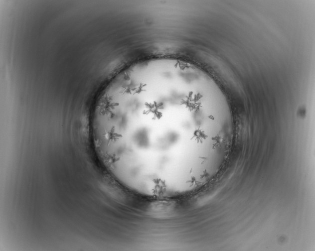 X0000102410700200808152005