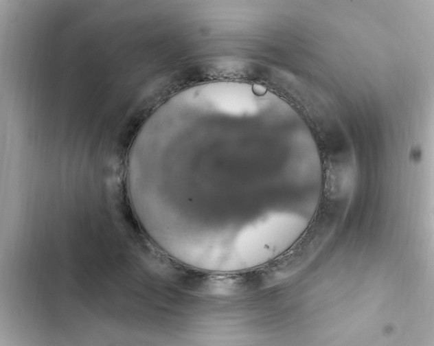 X0000102410701200808152005