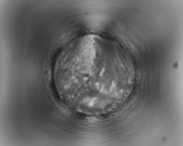 X0000102410703200808152005