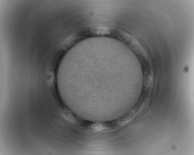 X0000102410704200808152005