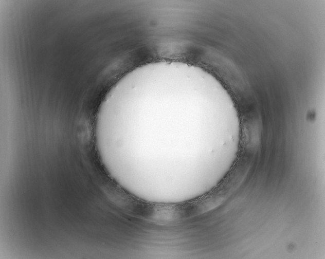 X0000102410705200808152005