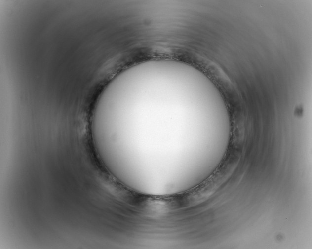 X0000102410706200808152005