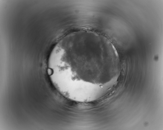 X0000102410707200808152005