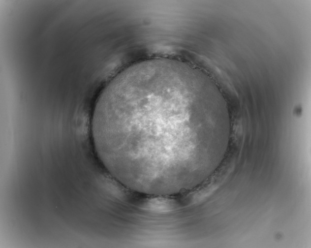 X0000102410708200808152005