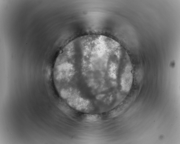 X0000102410709200808152005