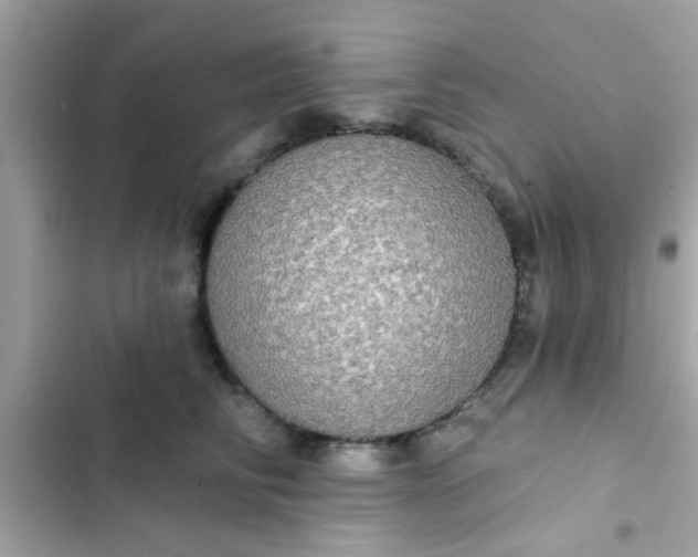 X0000102410710200808152005