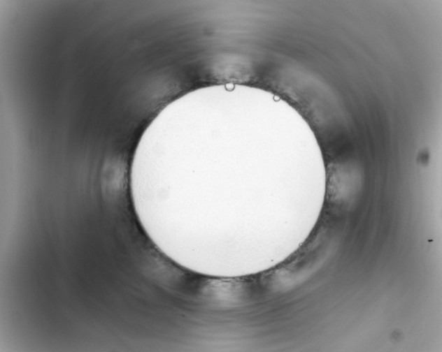 X0000102410713200808152005