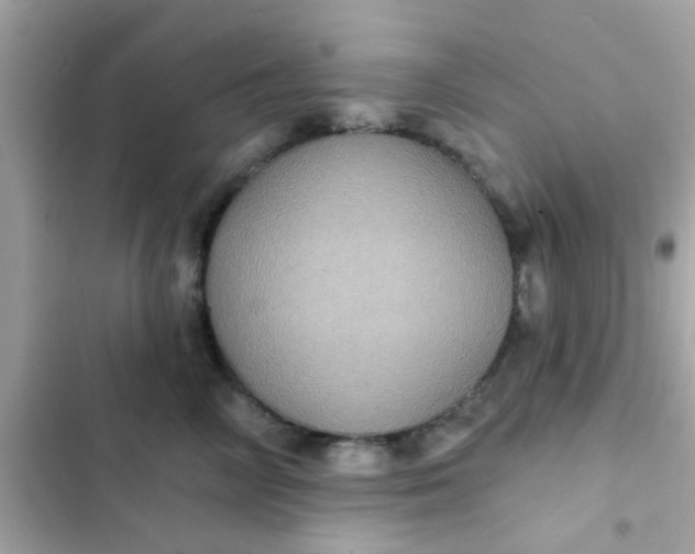 X0000102410714200808152005