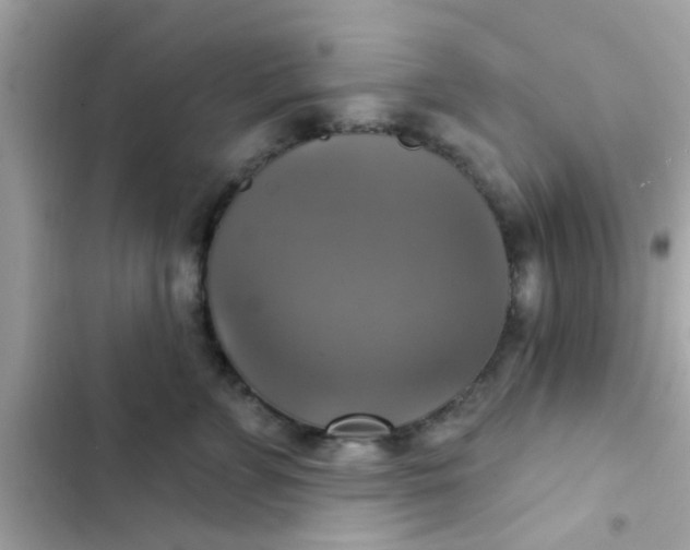 X0000102410715200808152005