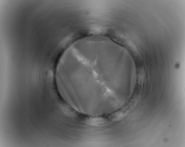 X0000102410716200808152005