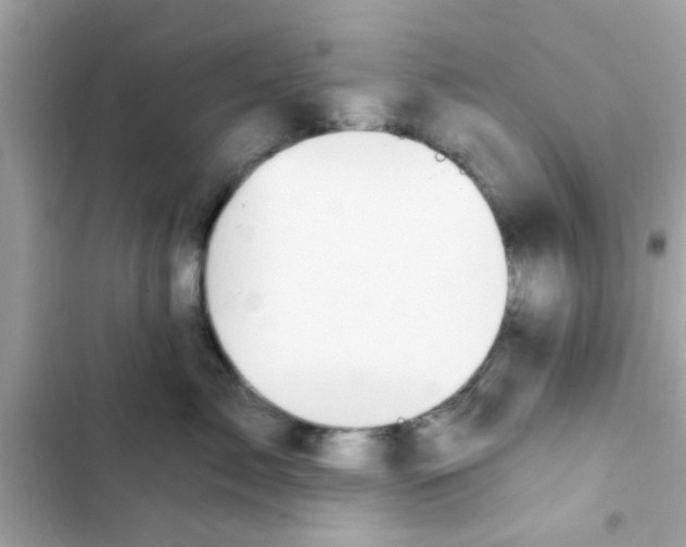 X0000102410717200808152005