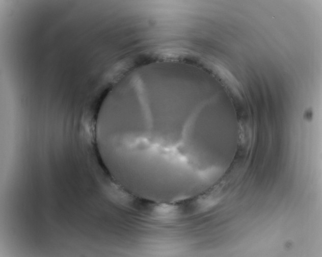 X0000102410718200808152005