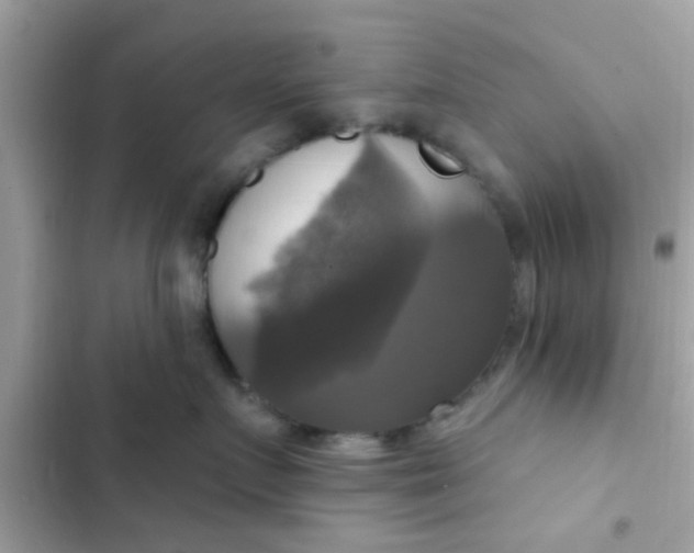 X0000102410719200808152005