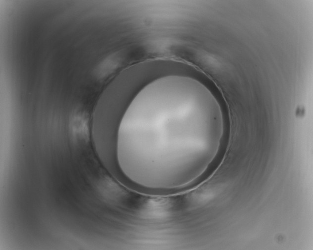 X0000102410720200808152005