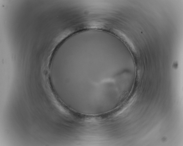 X0000102410721200808152004