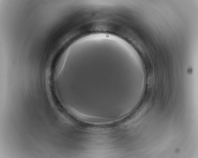 X0000102410722200808152004