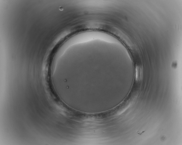 X0000102410723200808152004